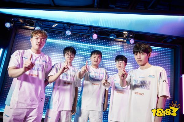 王哲林的表 王哲林的表