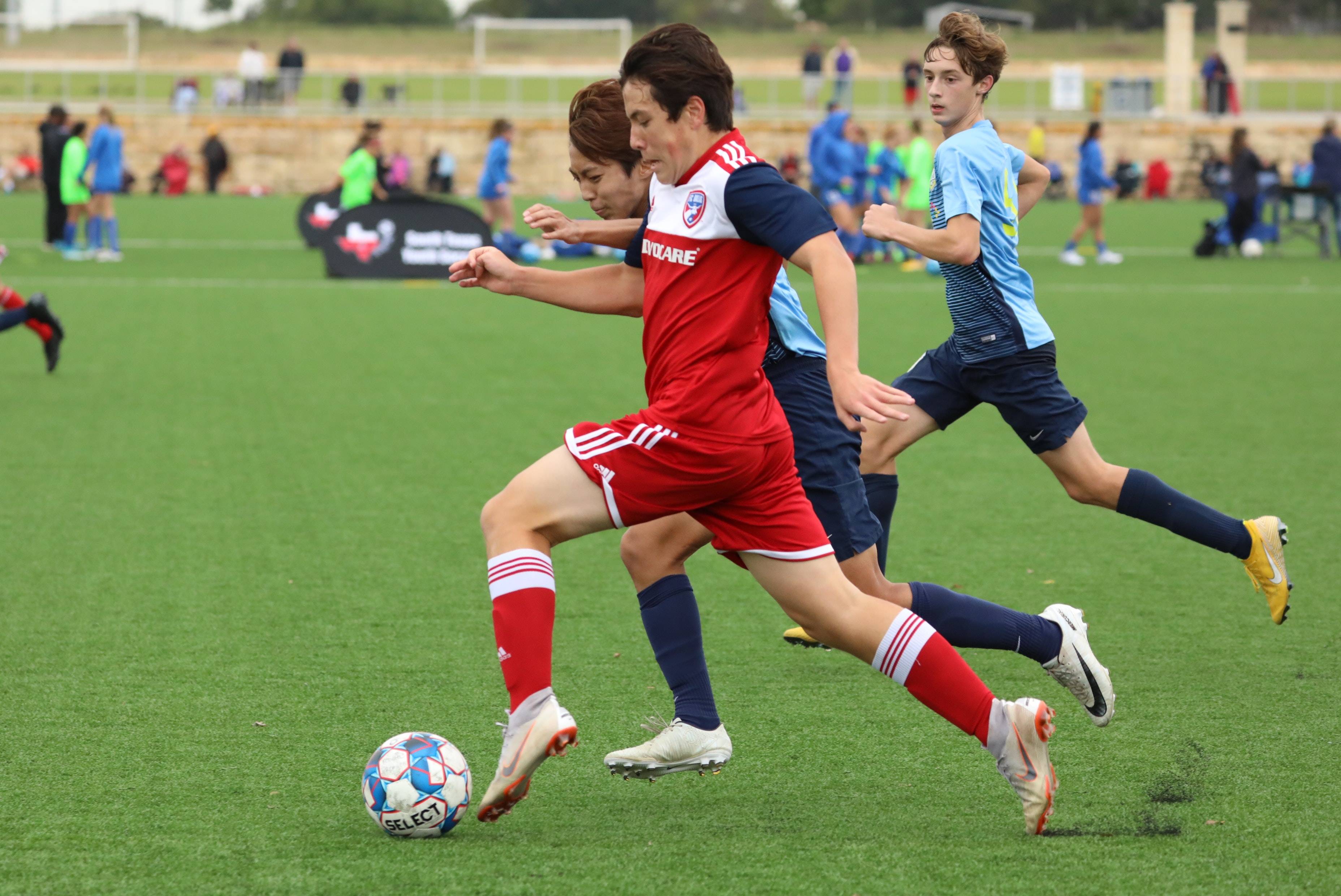 不再只是简 不再只是简