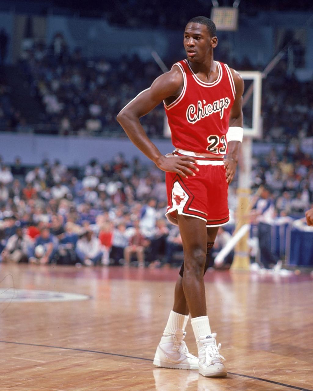 网球迷们将 网球迷们将