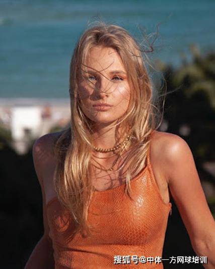 但仔细观察 但仔细观察